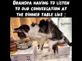 Sure Ain't Easy Getting Old #memes #meme #memesdaily #funny #dank #joke #brainrot #cat #old #dinner