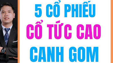 5 cổ phiếu cổ tức cao chứng khoán 2025