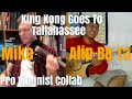 Alip Ba Ta, "King Kong Goes To Tallahassee," Pro Violinist Collab (post reaction collaboration)