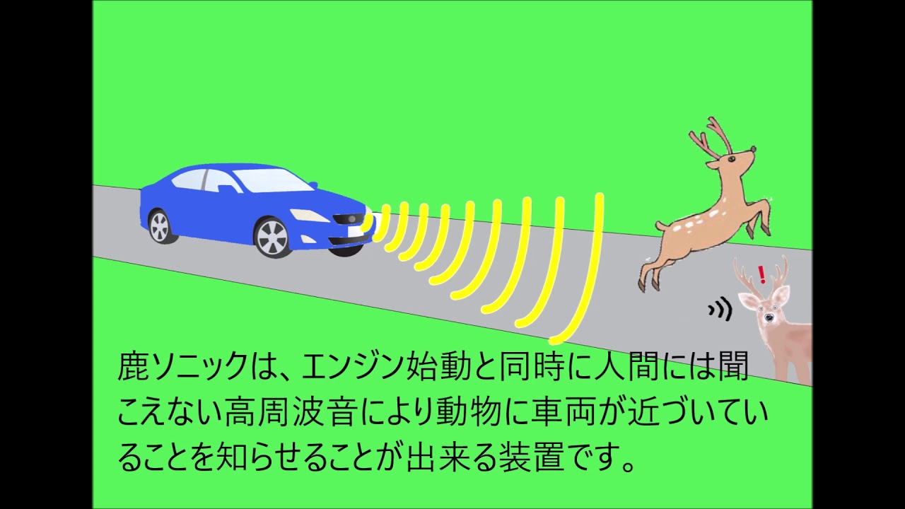 鹿ソニック Youtube 鹿ソニック Youtube