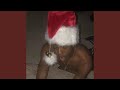 A GHETTO CHRISTMAS CAROL Mp3