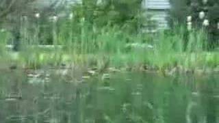 2002 Vertical Feed Stock Cocker shooting
