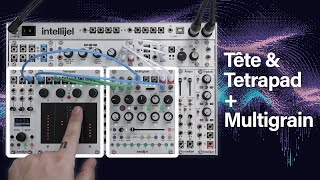 Intellijel Tête + Tetrapad + Multigrain Patches