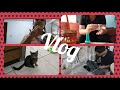 Vlog Un día común+ mi gatita mordió el cable del internet 😱🙀