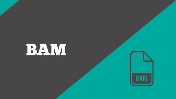 Bioinformatics: Bam | BioCode Ltd