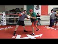 Canelo alvarez killing the body shield  mitts as he prepares for miguel cotto
