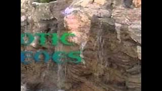 TCC Class Project - Ft. Lauderdale/Miami Promo