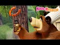 Маша и Медведь: Лучшие серии и новая приключенческая серия 2025! 🎬