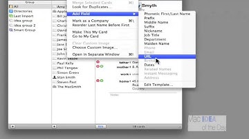 Mac Address Book OS version 10.6 Part 5 Add fields to the template.