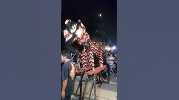 Seni: Tayub: Campur Sari;.... Atraksi Hebat Barongsai Hitam,.... group seni Truno Puji Laras