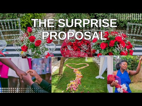 MY SURPRISE PROPOSAL/ENGAGEMENT STORY |I PLANNED IT MYSELF |CHOOSING MY RING|THE WEDDING SERIES EP 2