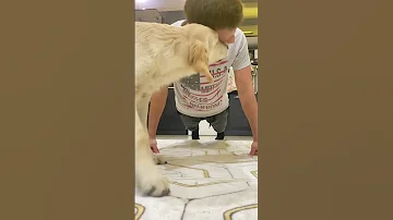 My Dog Helps Me Do Push Ups 