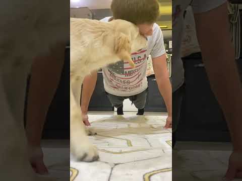 My Dog Helps Me Do Push Ups
