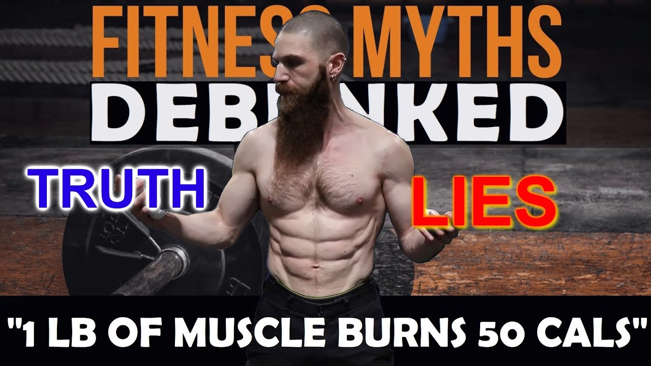 Fitness Myths Debunked 1 Lb Of Muscle Burns 50 Cals How Many Calories Does Muscle Actually 
