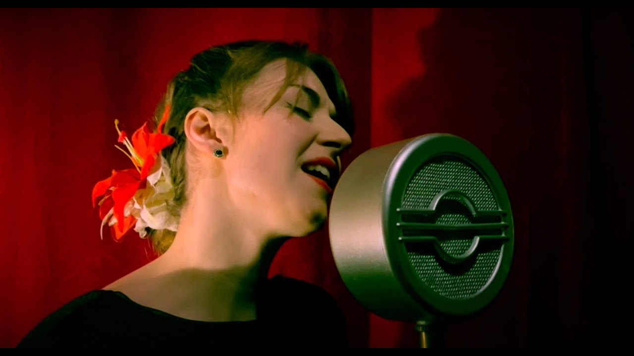 Miss Victoria   Petite Fleur The Hot Sardines cover