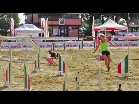 BCC 2013 - Bi&Bu