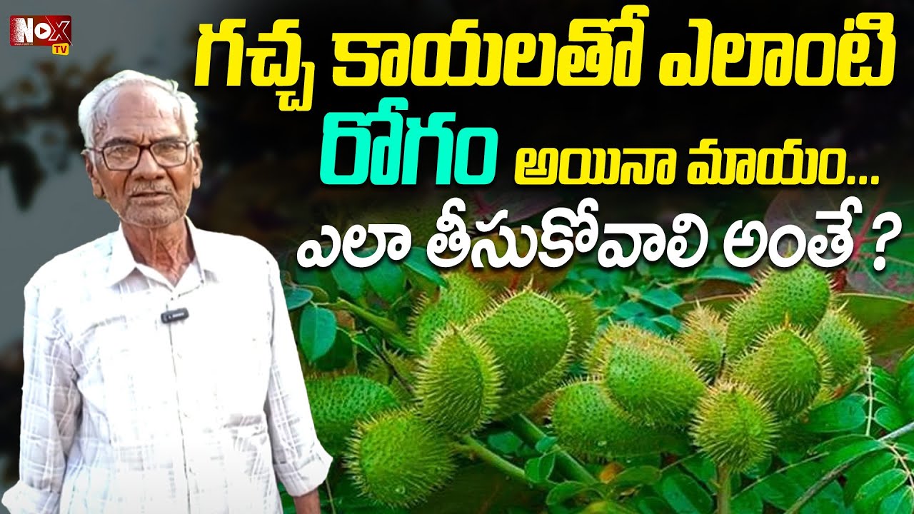 గచ్చ కాయలతో ఎలాంటి రోగం అయినా మాయం... | Gachakaya Uses In Telugu |  Health Benefits  @MagnaHealth