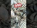 crab 350