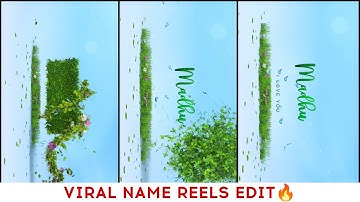 Flying leaves name Video Editing | Trending Name Reels Video Editing | Alight motion Preset