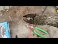 the right way to crimp wire ends