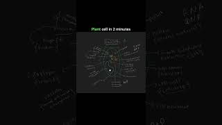 palnt cell in 2 minutes #study #science #biology #cbce #icse