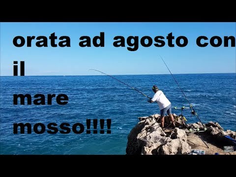 Pesca con mare mosso Clearance