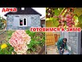 Дача.Осенняя подготовка к зиме.Красим. Убирали томаты. Обработала вишню