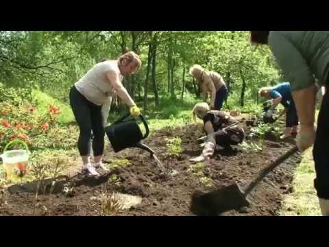 Video: Ko Stādīt Maijā Atklātā Zemē