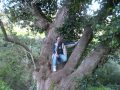 Il Mara Ul Hmara Elia 