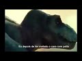 QUANDO EU JOGO DE BOA N X1