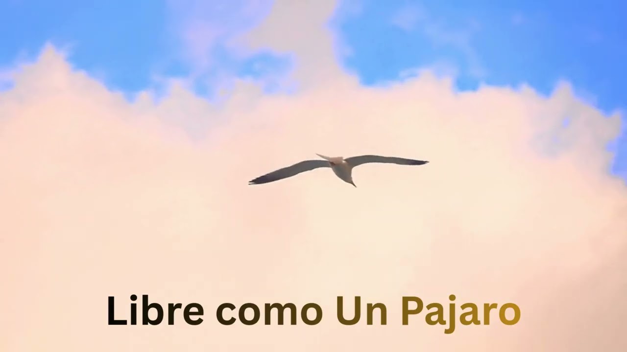 Libre como Un Pajaro ( Musica )
