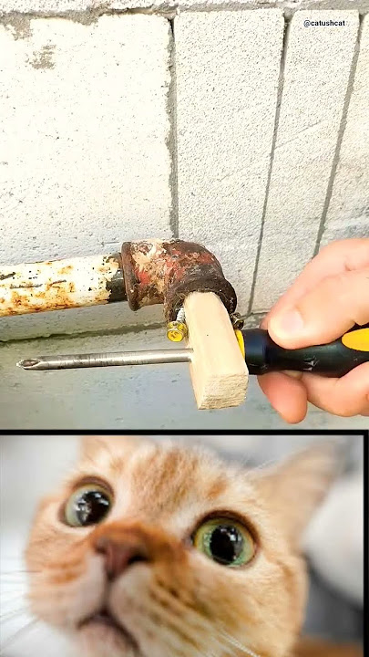 https://youtube.com/@simple_creative?si=6-AXiiPGiYkE1dR2