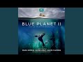 The blue planet