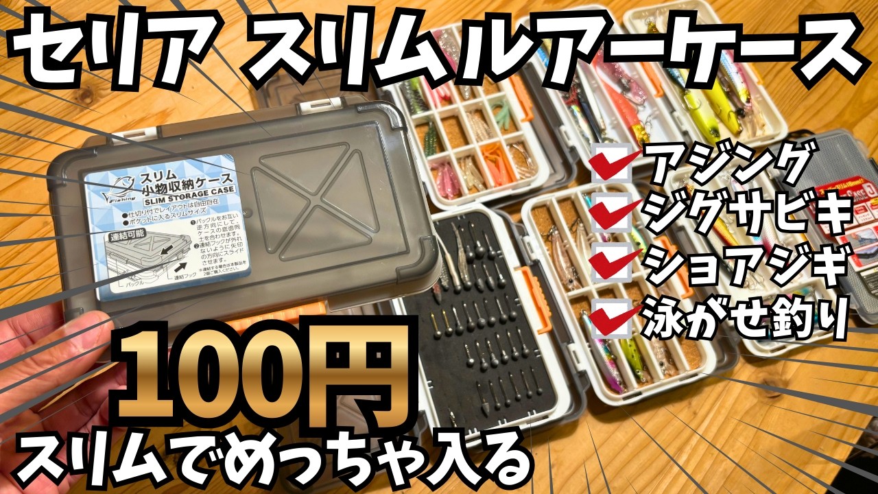 【100均釣り】スリムケース【めちゃ入る】