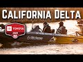 Hunting for california delta giants major league fishing toyota series tournament