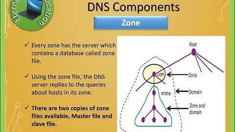 TN 12th computer application chapter 12 DNS (part 3 Name Server, Zone, Resolver, How DNS works?)