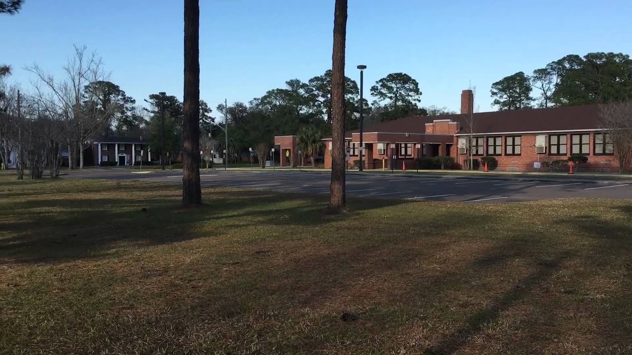 A Small Pine Tree Park At The Elementary School YouTube a-small-pine-tree-park-at-the-elementary-school-youtube