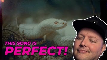 Infinite Source nails the vibe of the new album |  New Deftones Single | Reaction/Review