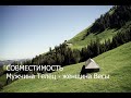 Совместимость мужчины Тельца и женщины Весы