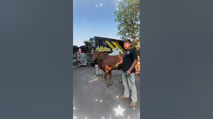 TIDAK DIKURBANKAN 3 SAPI JUMBO IRFAN HAKIM DI TAHUN 2025 #shorts #sapi #artis  #cow#irfanhakim