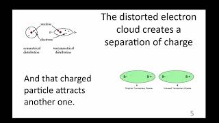 Information Atomic Interactions  004  EM Force Guide