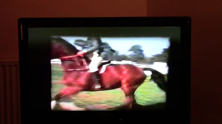 3  First Show Jumping at Post College