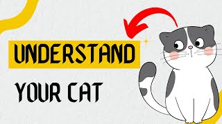 How to understand your cat by mypethow 153 views 3 months ago 2 minutes, 49 seconds