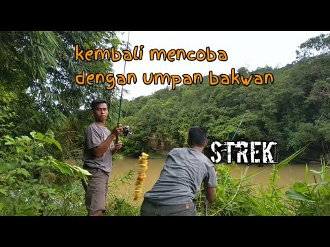 KEMBALI MENCOBA DENGAN UMPAN BAKWAN👌 - YouTube