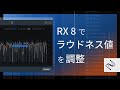 RX 8 Loudness Controlでラウドネス値を簡単に調整する方法