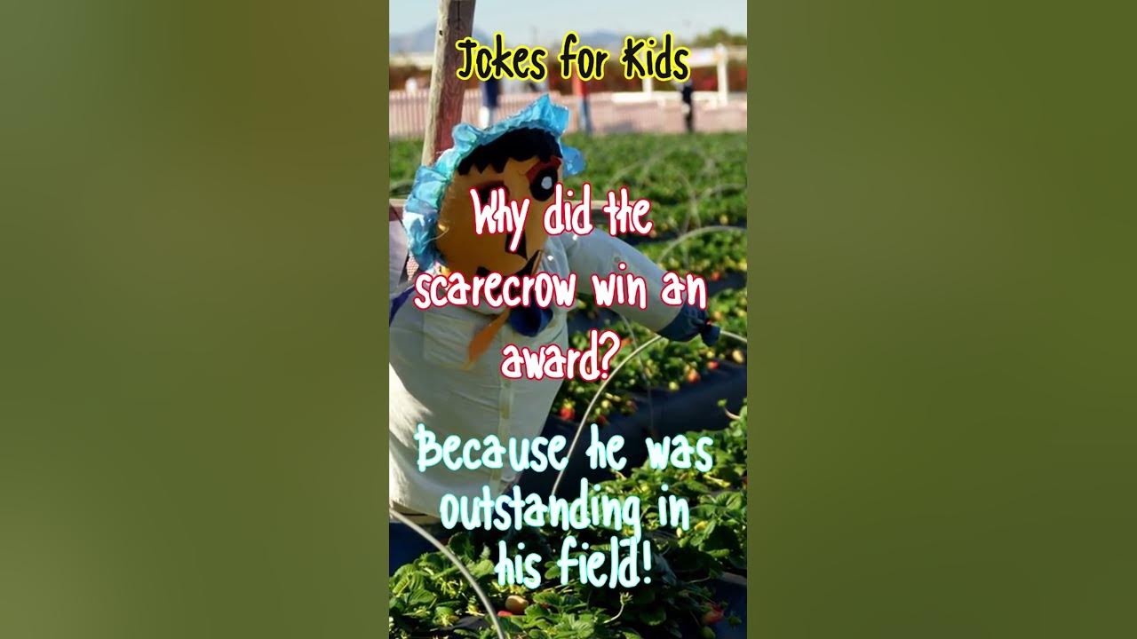 Why Did The Scarecrow Win An Award Joke