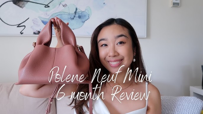 Unsponsored Polene Numero Un Nano Bag Review {Updated February 2022} —  Fairly Curated