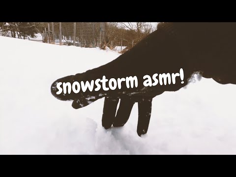 ASMR |❄️ In The Snow! ❄️