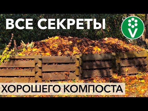 Эти ПРАВИЛА КОМПОСТИРОВАНИЯ ОСЕНЬЮ должен знать каждый!