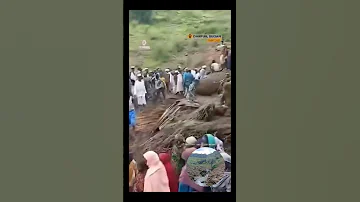 رحمة الله شهداء جبل مرة قرية ترسين السودان دارفور زالنجي نيالا 